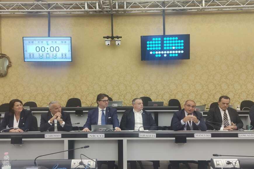 Presentazione di "Adotta un filare nelle Lanze"