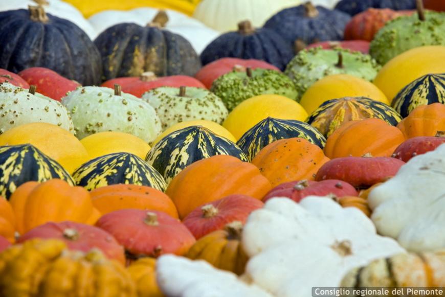 Distretti del cibo, la revisione del regolamento passa al Cal