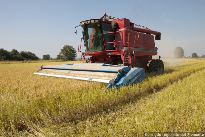 Commissione Legalità approva la relazione sullo sfruttamento lavorativo in agricoltura