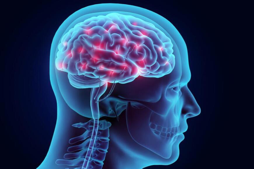 una rete per curare l'epilessia
