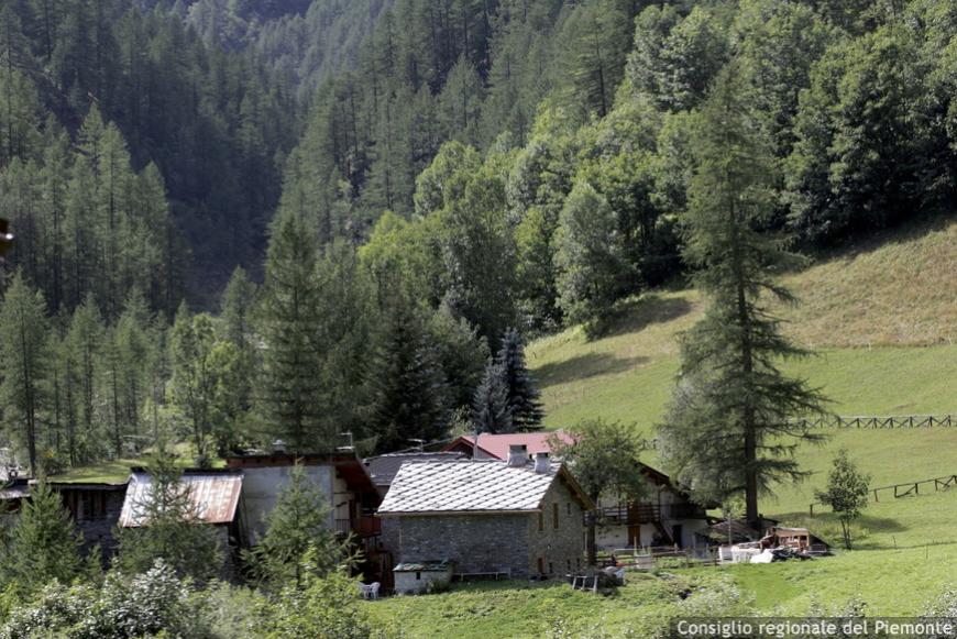 Licenziato il Ddl che punta a dare tutela giuridica, stabilità e mezzi agli operai regionali.