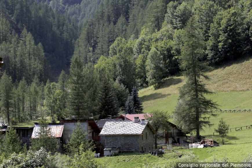 Licenziato il Ddl che punta a dare tutela giuridica, stabilità e mezzi agli operai regionali.