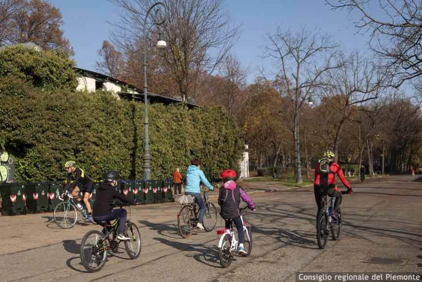 La Pdl 125 di Sacchetto punta a sostenere i piccoli comuni nella pianificazione del verde, migliorare aria e biodiversità.
